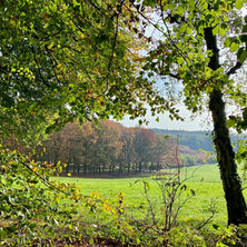 Rosandepad: mooiste Klompenpad in Gelderland?
