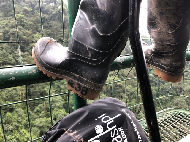 ecuador-mashpi-lodge