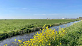 netherlands.jpeg