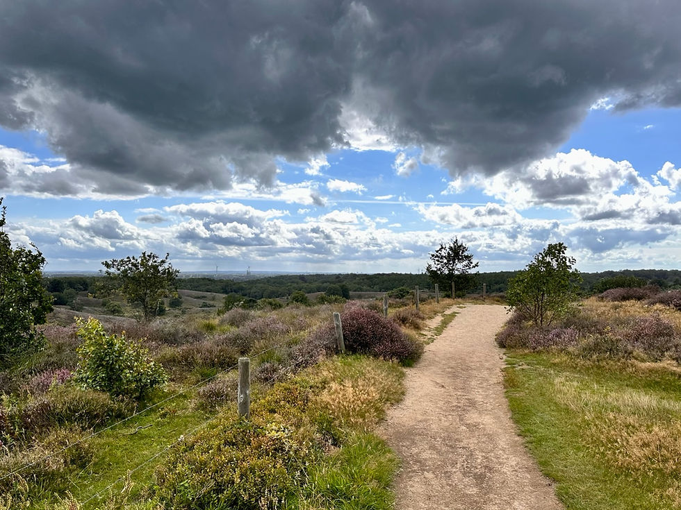 wandelen-posbank-carolinahoeve