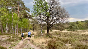 Trekvogelpad: etappes op de Veluwe