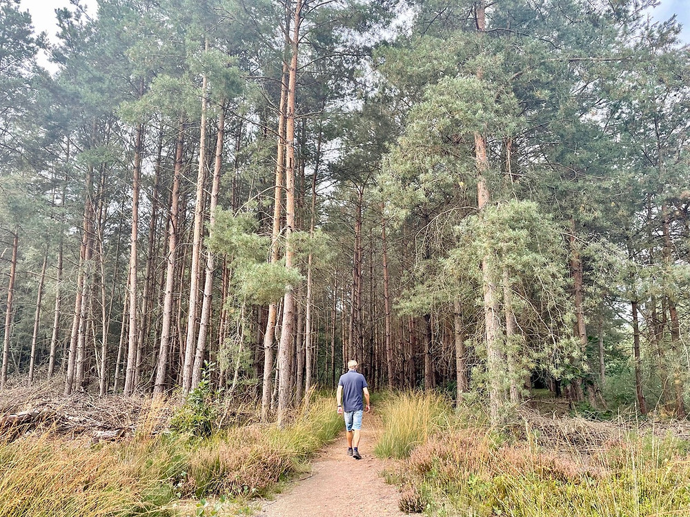 wandelen-heumensoord