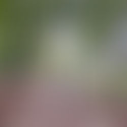 Wandelen Amerongen: prachtige wandelroutes Utrechtse Heuvelrug