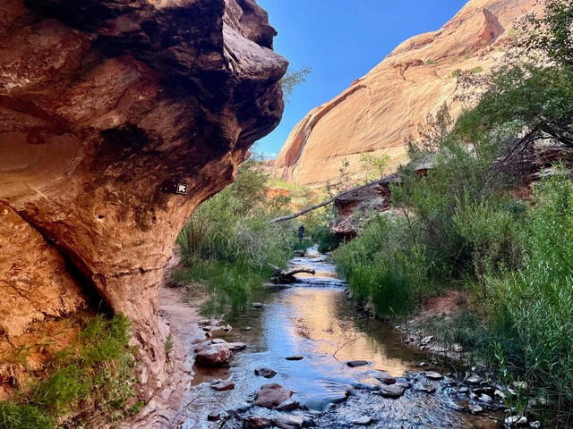 mooie-trail-arches
