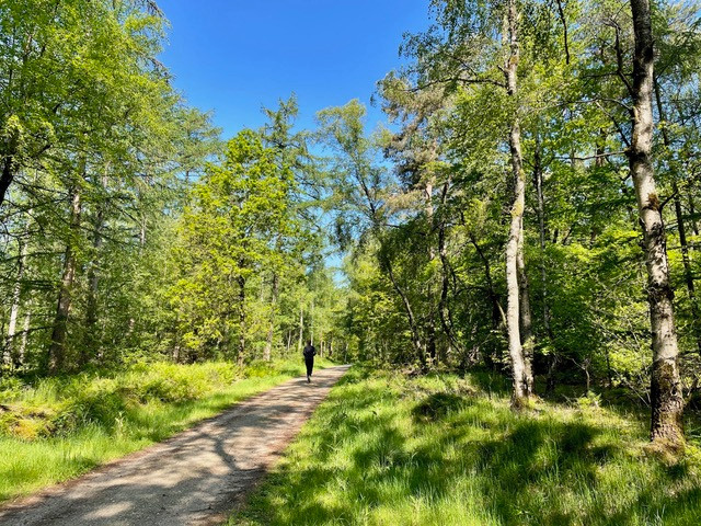 wandelroutes-utrecht