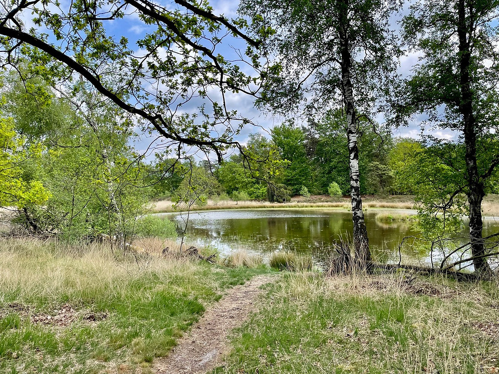 Trekvogelpad-etappe-21