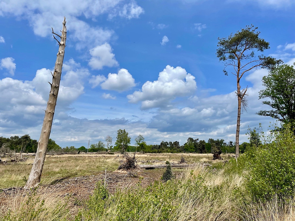 Trekvogelpad-etappe-21
