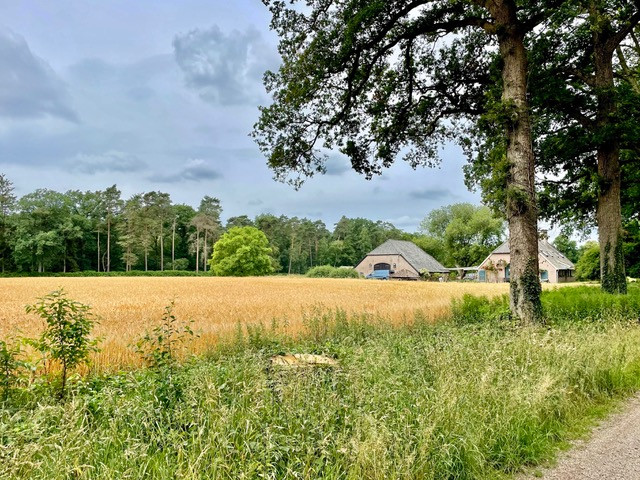 fietsroute-achterhoek-kasteel-vorden