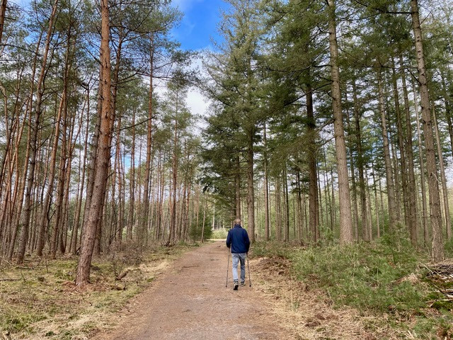 boswachterspad-kootwijk