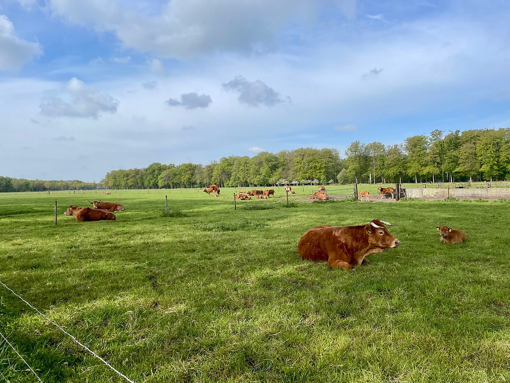Trekvogelpad-etappe-12