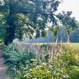 Klompenpad Schaarsbergenpad: bos, hei, water en pannenkoeken