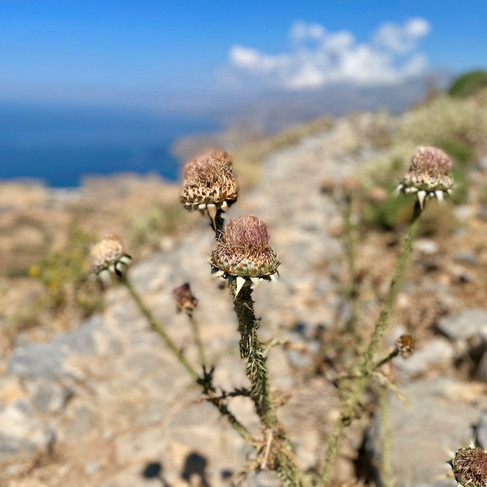 Kreta-Wandern-Plakias