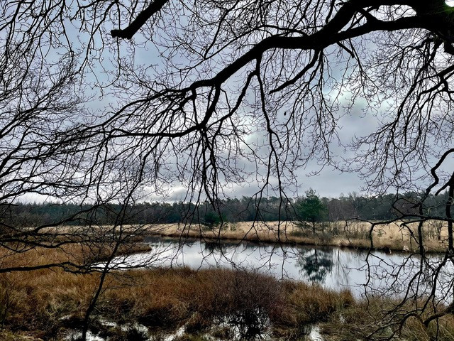 boswachterspad-kootwijk