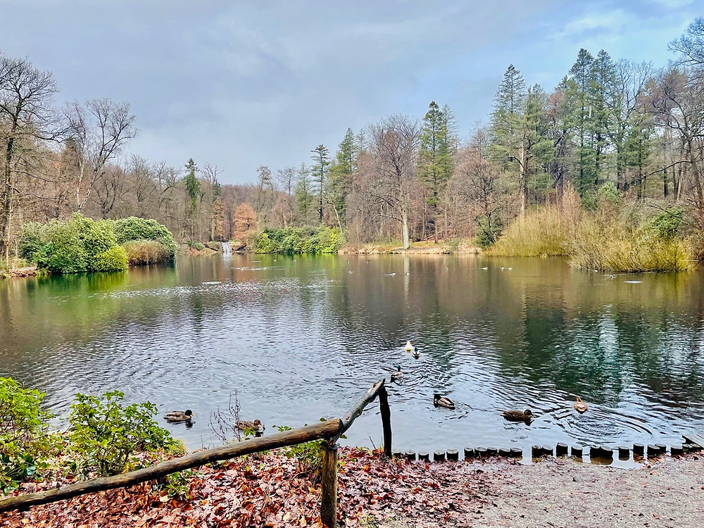 wandelen-rheden