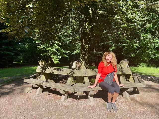 ns-wandeling-dieren-rheden