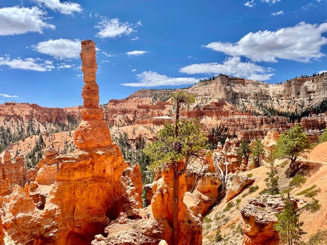 mooie-trail-bryce