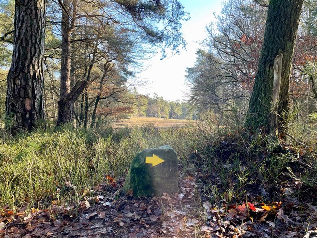 gele-zwerfkeien-wandelroute-loenen