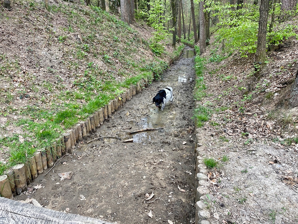 Trekvogelpad-etappe-17