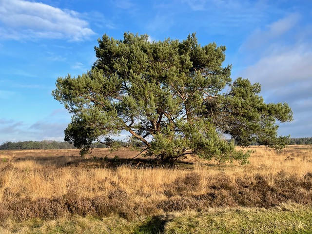speuldepad-klompenpad-staverden
