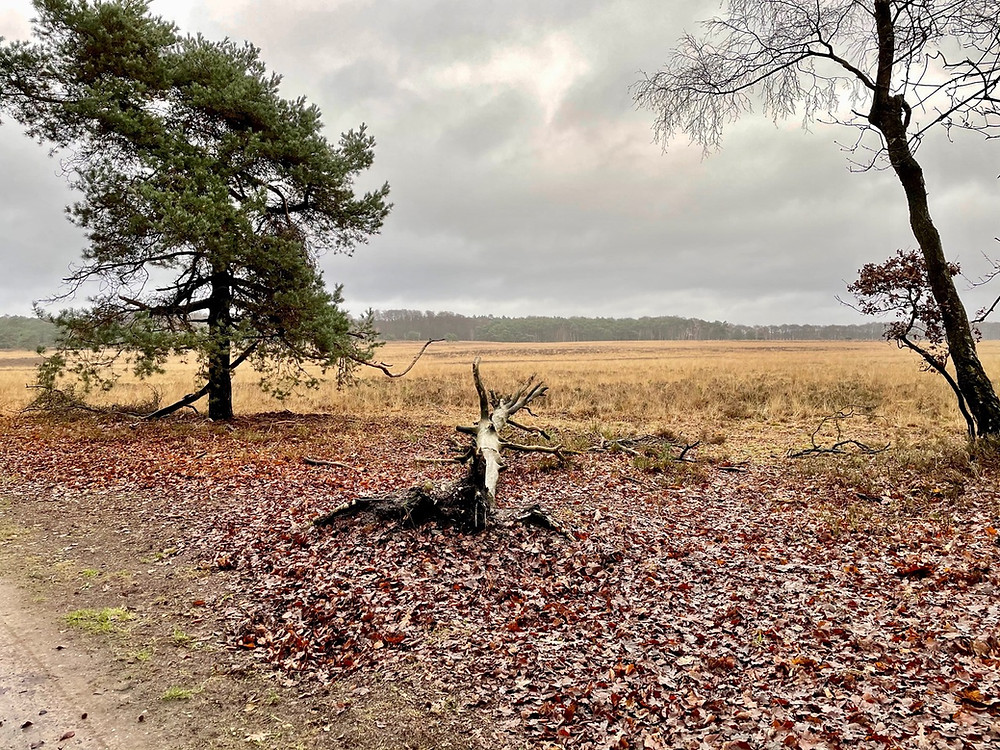 mooie-herfstwandeling