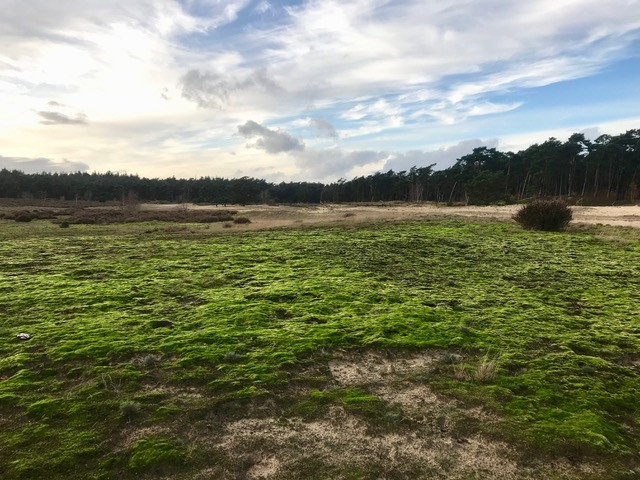 wandelen-wekeromse-zand