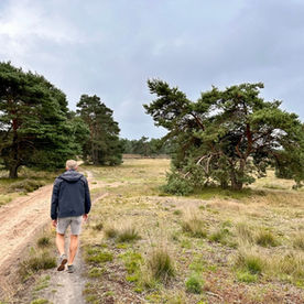 Majestueus wandelen op Kroondomein ’t Loo: stuifduinenroute