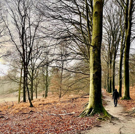 Wandelroute Beekhuizen: prachtig wandelen bij Rheden
