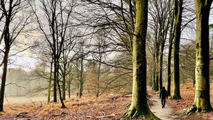 Wandelroute Beekhuizen: prachtig wandelen bij Rheden