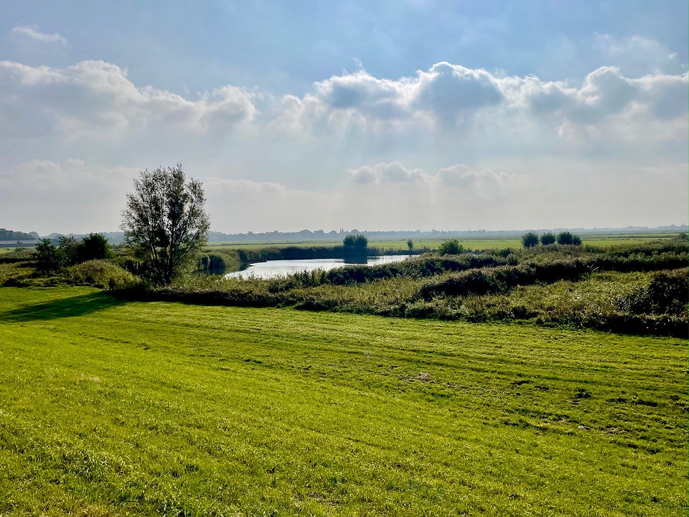klompenpad-thornspiccerpad