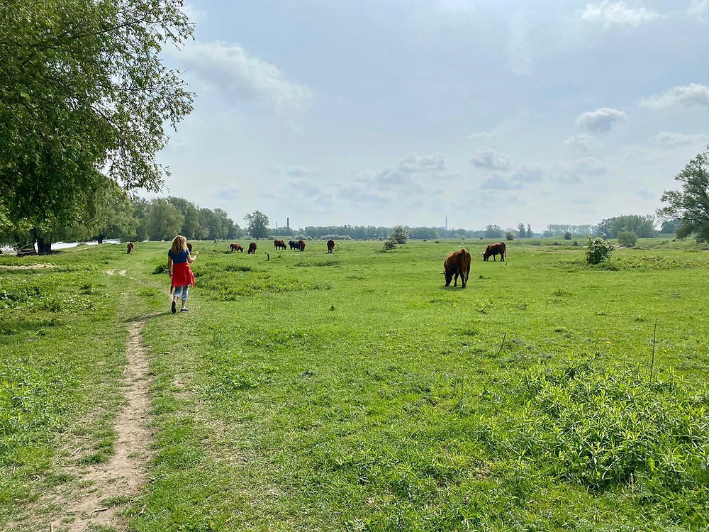 Klompenpad Doddendael