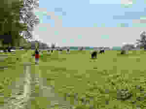 Klompenpad Doddendael