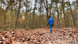 Wandelen Putten: rondwandeling door het Putterbos