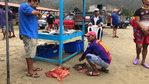 Ecuador Puerto Lopez: modderbad in Agua Blanca 