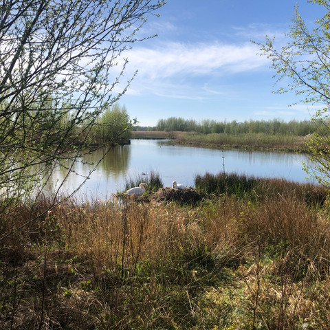stoutenburgerpad-klompenpad-leusden