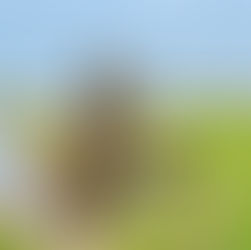 Appelpad: Klompenpad bij Nijkerk