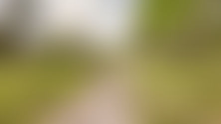 Trekvogelpad etappe 17: van Hoenderlo naar Loenermark 