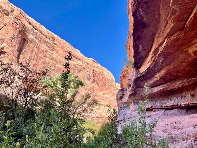mooie-trail-Arches