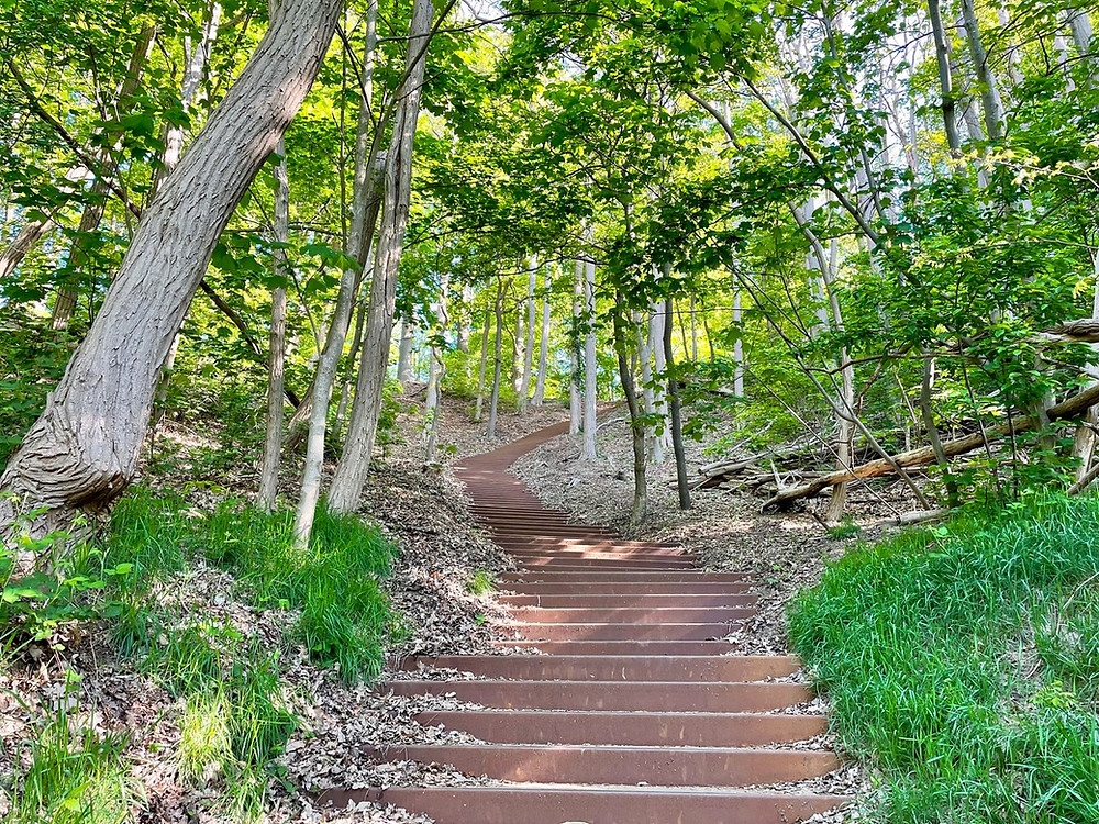 Trekvogelpad-etappe-14