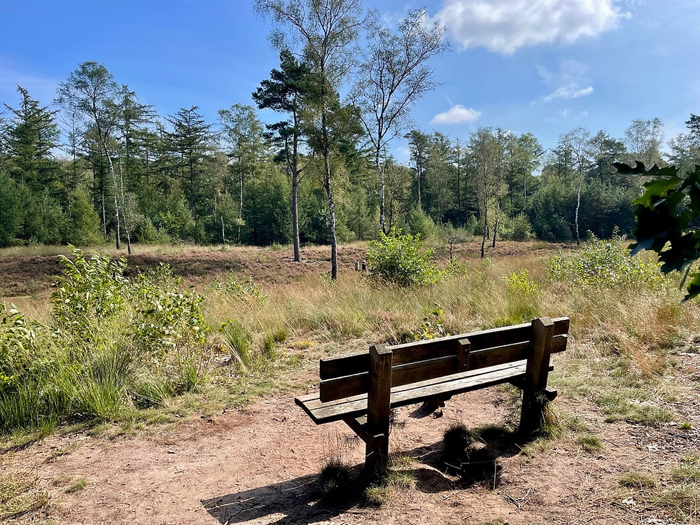 wandelen-ede-schaapskooiroute