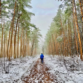 8 x De mooiste winterse wandelroutes in Gelderland