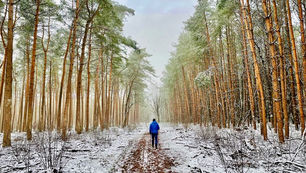 10 x Winter wandelen in Gelderland en Utrecht