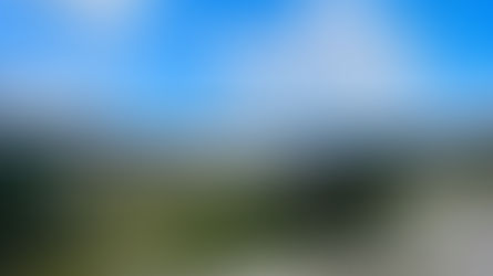 Klompenpaden Ede: mijn favorieten