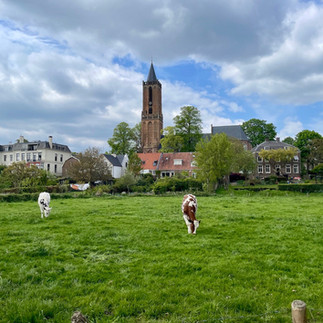 Trekvogelpad-etappe-12