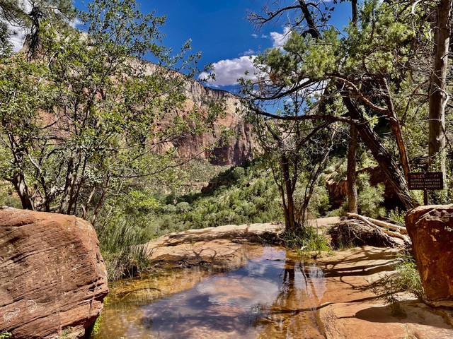 mooie-trail-zion