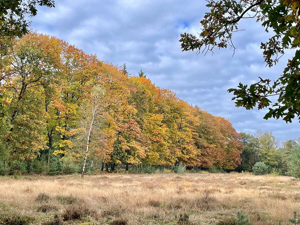 sprengen-wandelen-laag-soeren