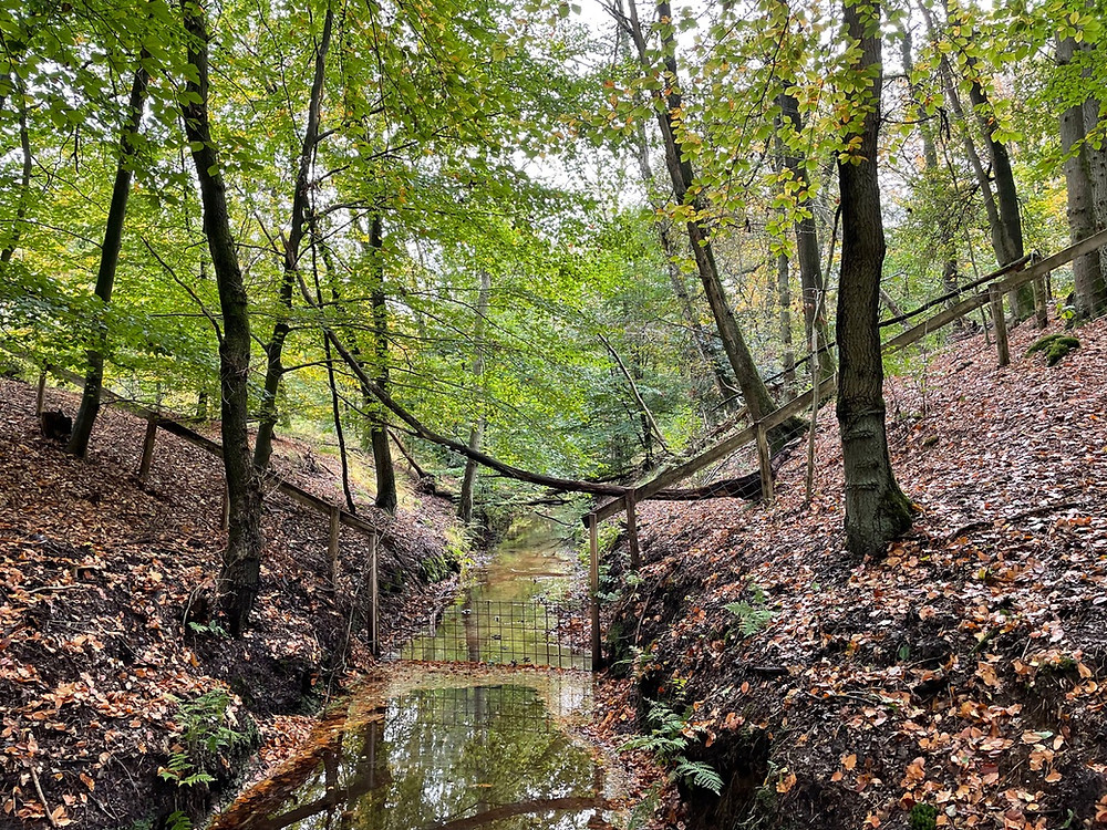 sprengen-wandelen-laag-soeren