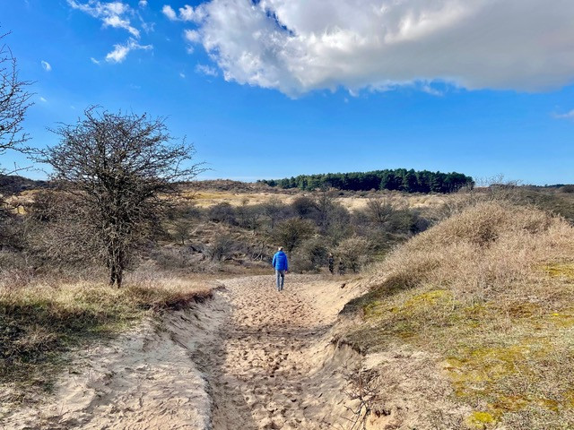 wandelroute-parnassia