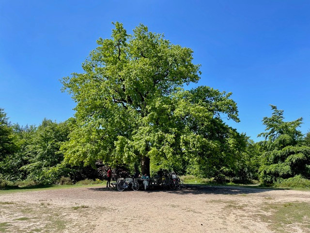 Leemkuilroute-Amerongen