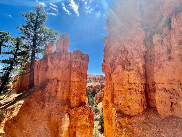 mooie-trail-bryce
