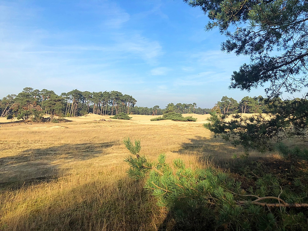 wandelen-wekeromse-zand